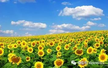 微信图片_20180702182603.jpg 微信图片_20180702182603.jpg
