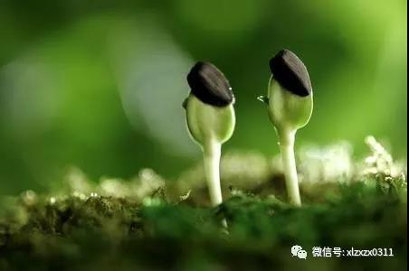 微信图片_20180927093906.jpg 微信图片_20180927093906.jpg