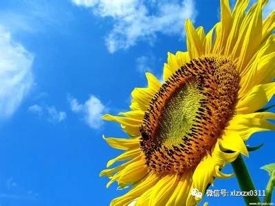 微信图片_20181116112947.jpg 微信图片_20181116112947.jpg