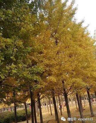 QQ��ͼ20181204130932.jpg