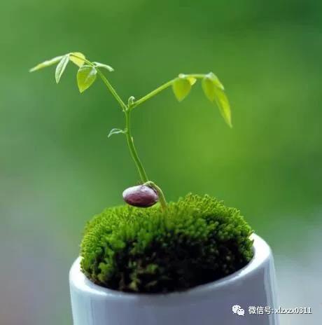 微信图片_20190329163554.jpg 微信图片_20190329163554.jpg