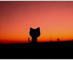 u=3641542897,914271841&fm=21&gp=0.jpg u=3641542897,914271841&fm=21&gp=0.jpg